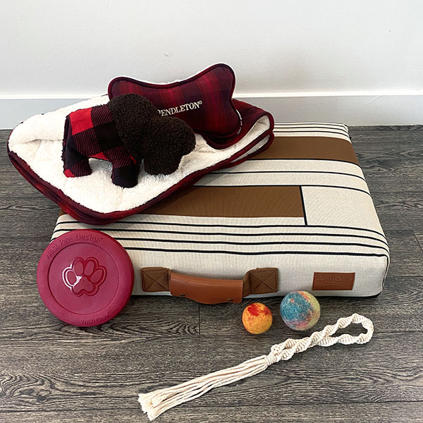 LAY LO dog bed with John Legend cover and toy, Pendleton blanket and toy, West Paw toys, and wool balls | Photo by Mir Martz