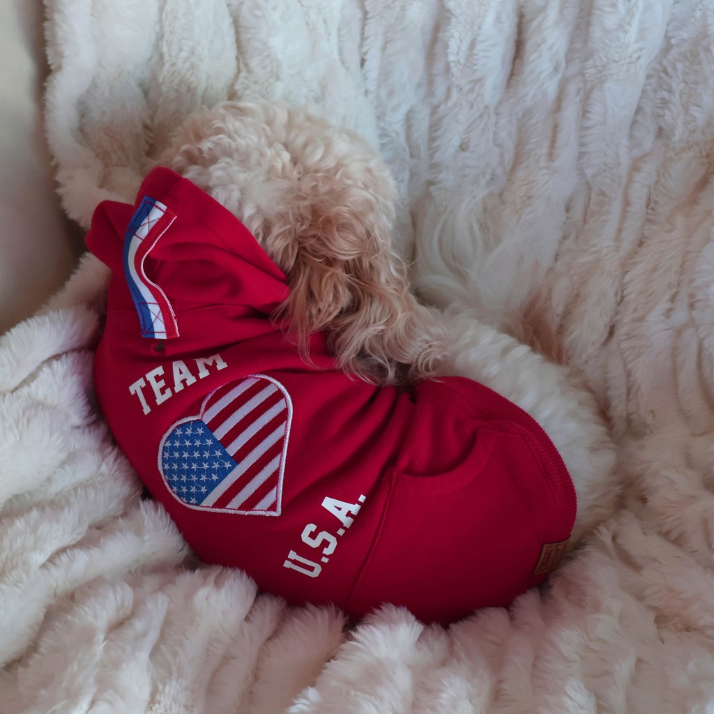 Apricot is modeling the Team U.S.A. Hoodie M in Red | Photo by Mir Martz